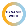 Icon_Dynamic_White